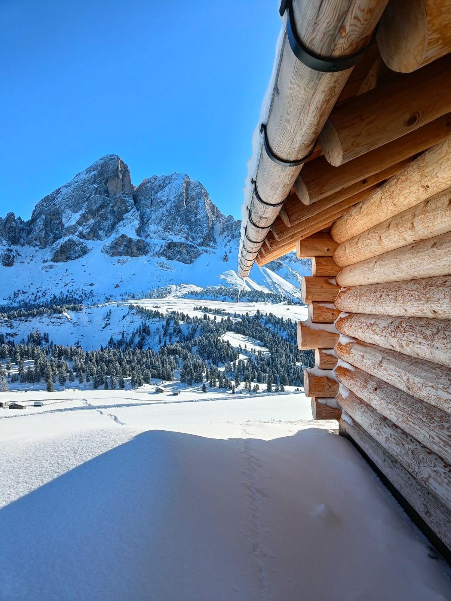 Chalet Soredl Antermoia Exterior foto